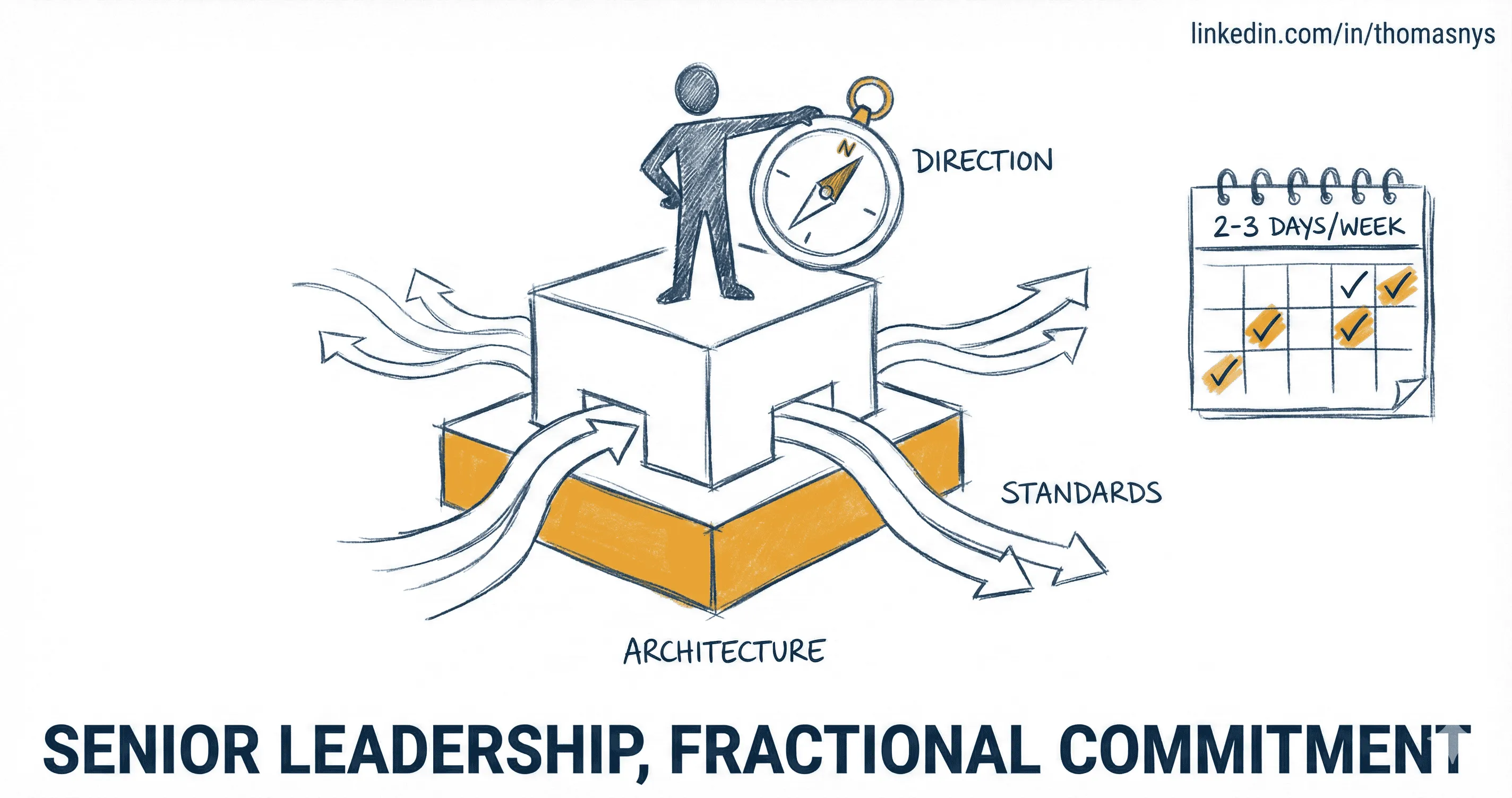Senior data architect consultant working with scaleup team on data architecture and platform strategy